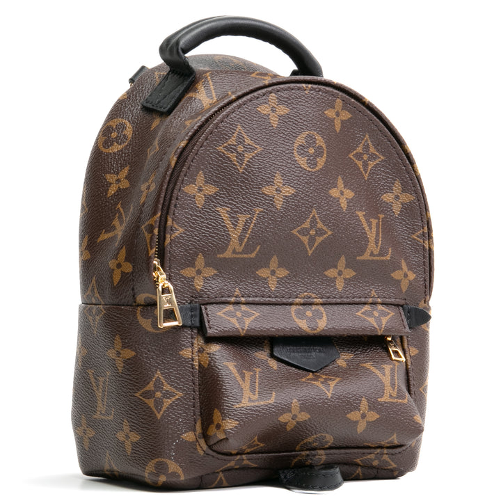 Louis Vuitton Palm Springs Mini mochila