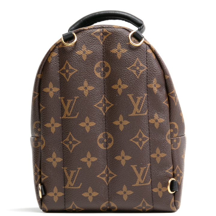 Louis Vuitton Palm Springs Mini mochila