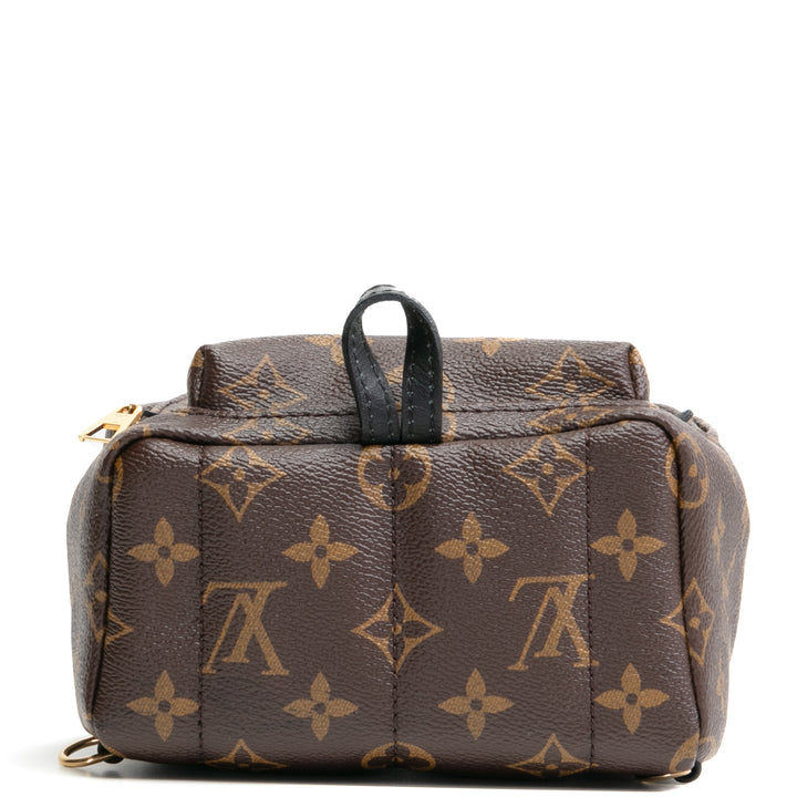 Louis Vuitton Palm Springs Mini mochila